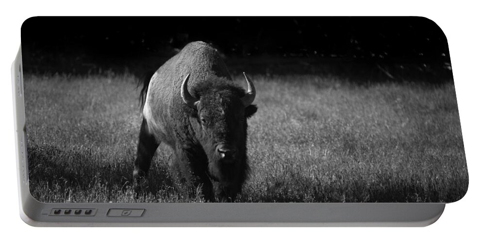 Mammal Portable Battery Charger featuring the photograph Bison by Ralf Kaiser