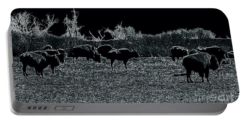Buffalo Portable Battery Charger featuring the photograph Black and White Nature by Kim Galluzzo Wozniak