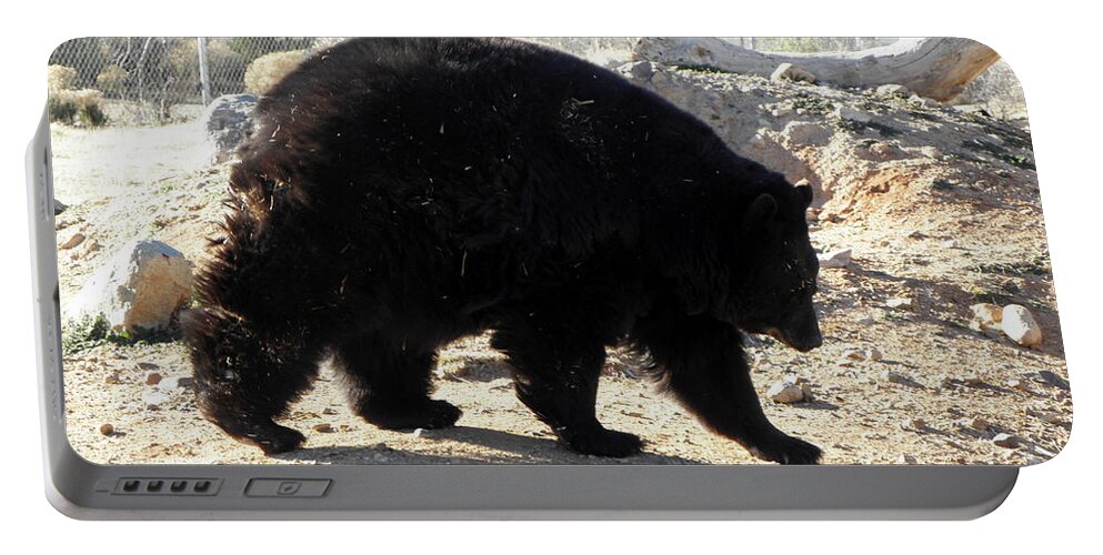 Black Portable Battery Charger featuring the photograph Black Bear by Kim Galluzzo