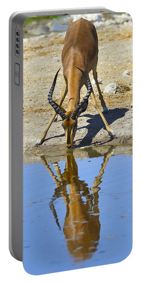 Impala Portable Battery Charger featuring the photograph Black-faced Impala by Tony Beck