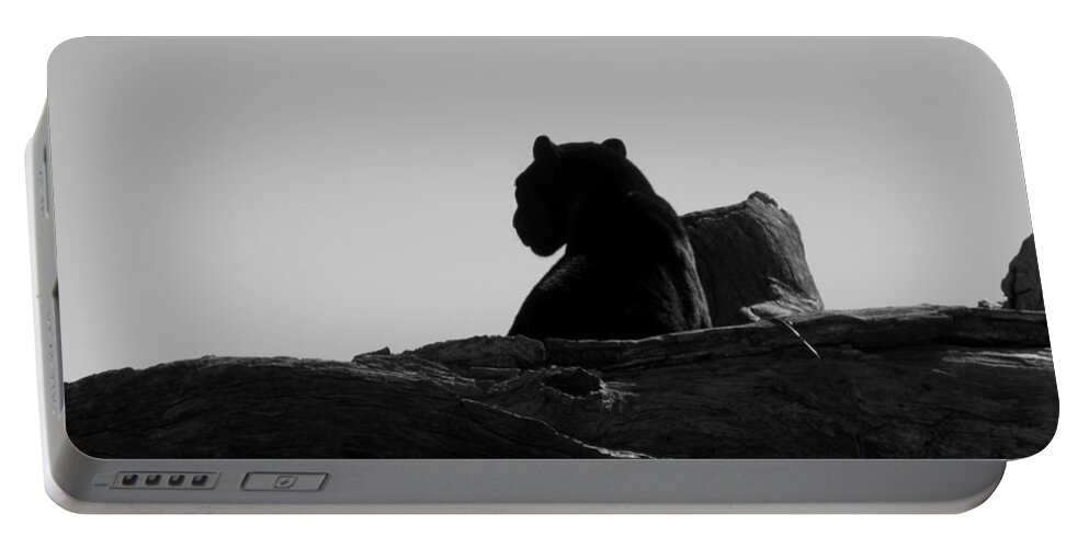 Black Portable Battery Charger featuring the photograph Black Jaguar by Kim Galluzzo Wozniak