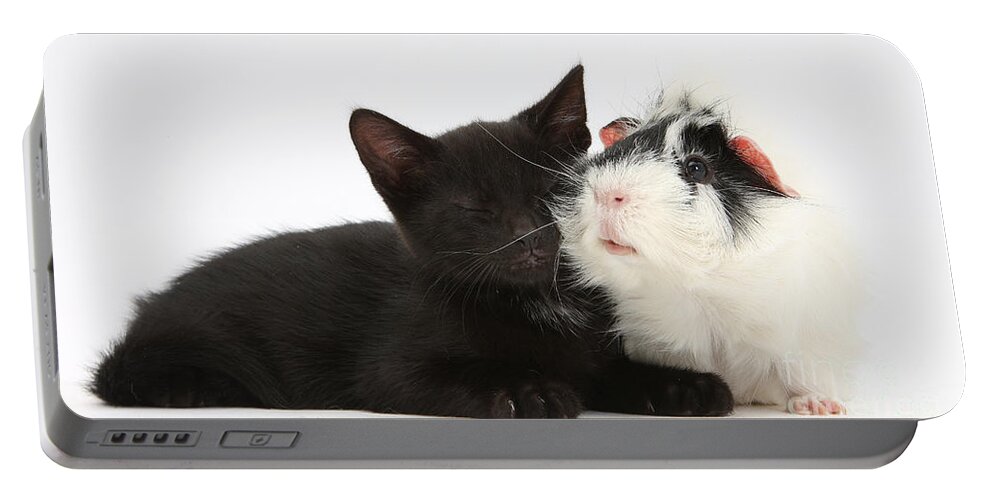 Nature Portable Battery Charger featuring the photograph Black Kitten Guinea Pig by Mark Taylor