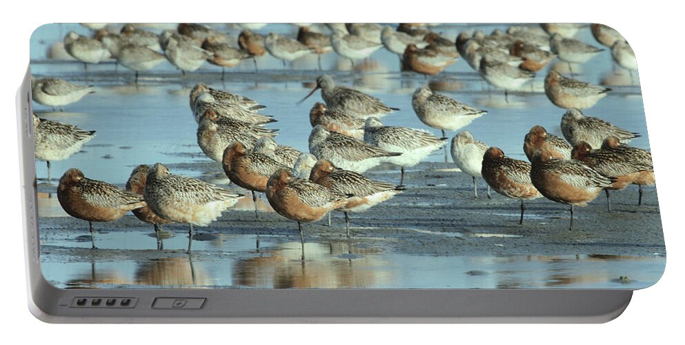 Fn Portable Battery Charger featuring the photograph Black-tailed Godwit Limosa Limosa Flock by Flip De Nooyer