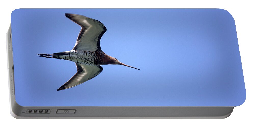 Fn Portable Battery Charger featuring the photograph Black-tailed Godwit Limosa Limosa by Jan Sleurink