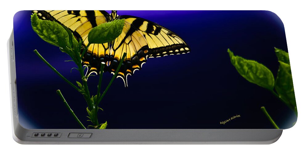 Butterfly Portable Battery Charger featuring the photograph Blue By You by DigiArt Diaries by Vicky B Fuller