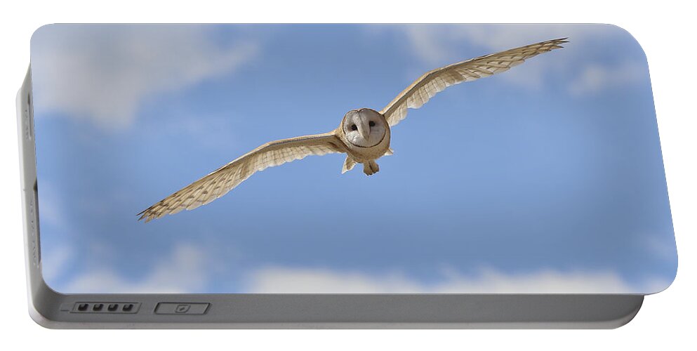 Landscape Portable Battery Charger featuring the photograph Blue sky barn owl by John T Humphrey