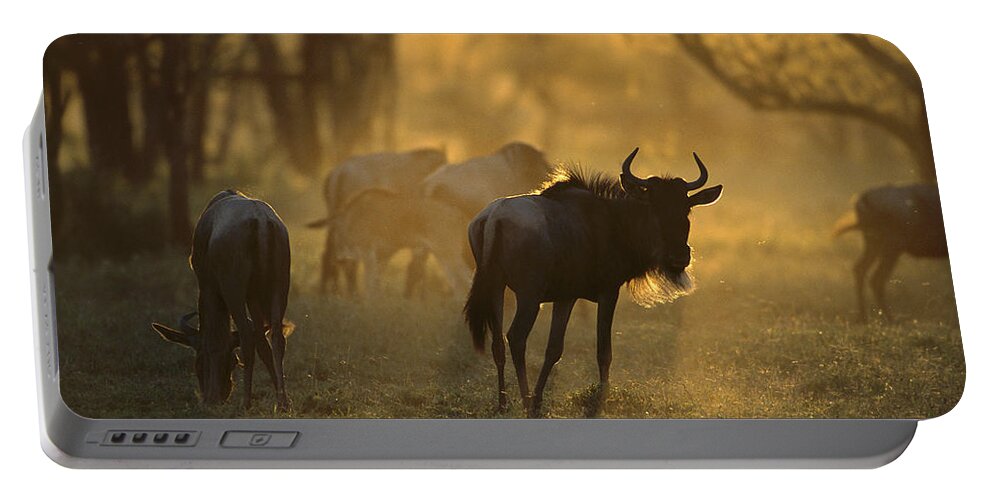 00761048 Portable Battery Charger featuring the photograph Blue Wildebeest At Sunset Ngorongoro by Suzi Eszterhas