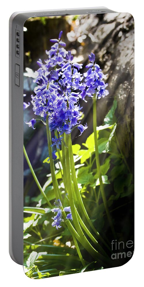 Wild Flowers Portable Battery Charger featuring the photograph Bluebells in the woods by Simon Bratt