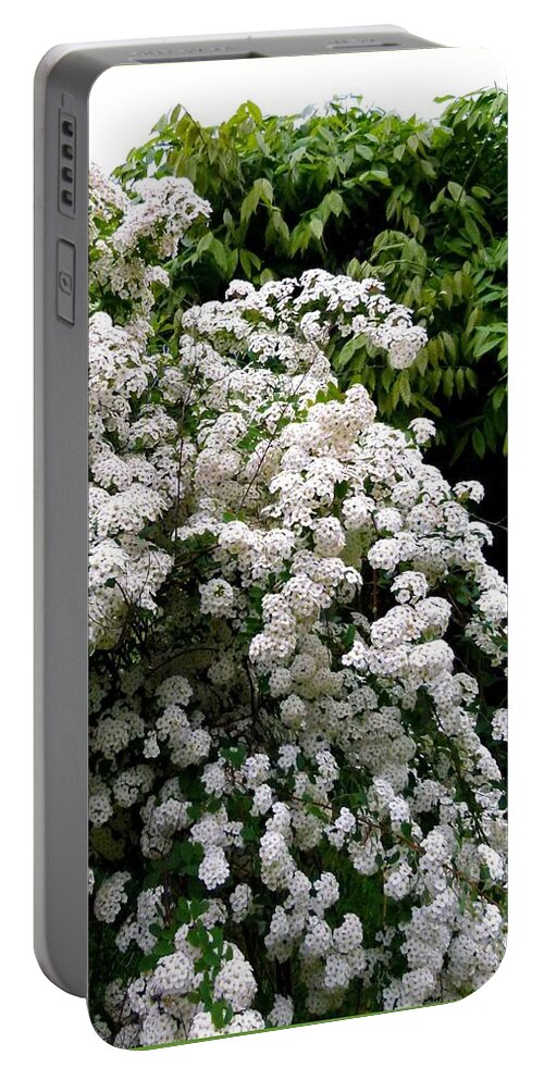 Bridal Veil Portable Battery Charger featuring the photograph Bridal Veil Blossoms by Will Borden