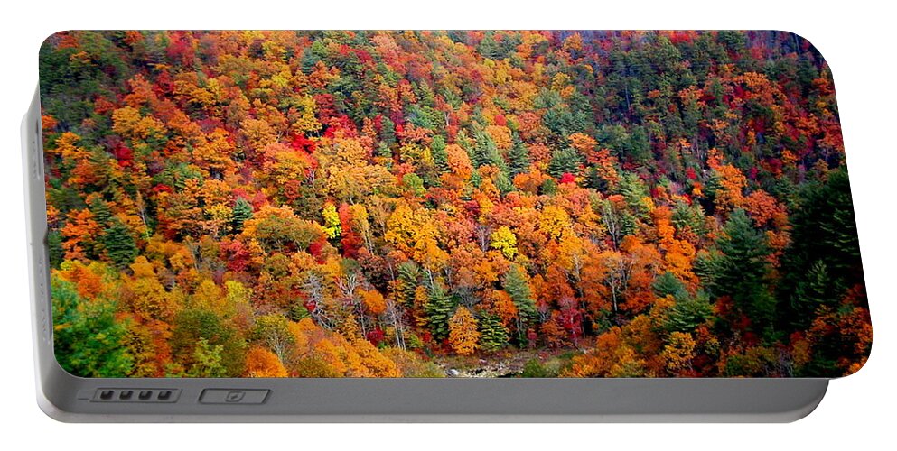 Vacation Portable Battery Charger featuring the photograph Brilliant Color Trees by Mira Patterson