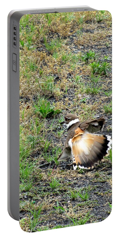 Bird Portable Battery Charger featuring the photograph Broken Wing Act by George Jones