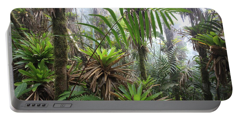00456444 Portable Battery Charger featuring the photograph Bromeliads And Tree Ferns by Cyril Ruoso