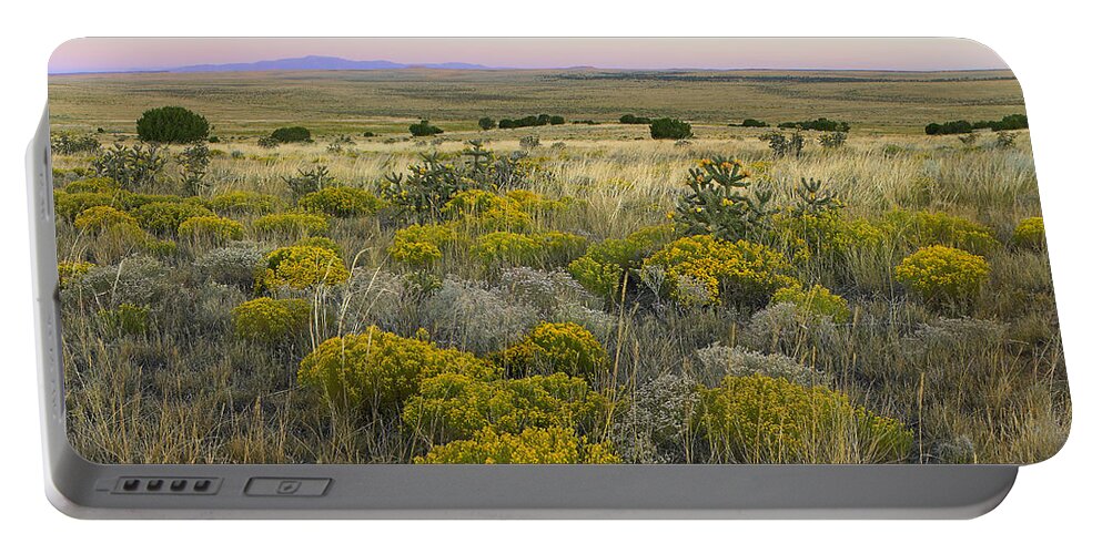 00176020 Portable Battery Charger featuring the photograph Broomweed Growing Among Prairie Grasses by Tim Fitzharris