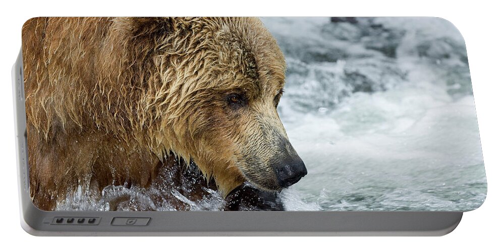 Mp Portable Battery Charger featuring the photograph Brown Bear Ursus Arctos Foraging by Sergey Gorshkov