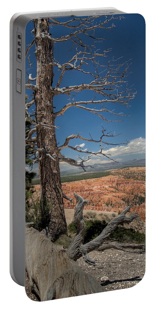 Bryce Portable Battery Charger featuring the photograph Bryce Canyon - Dead Tree by Larry Carr