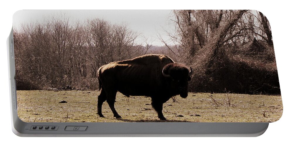 Bull Portable Battery Charger featuring the photograph Bull by Kim Galluzzo