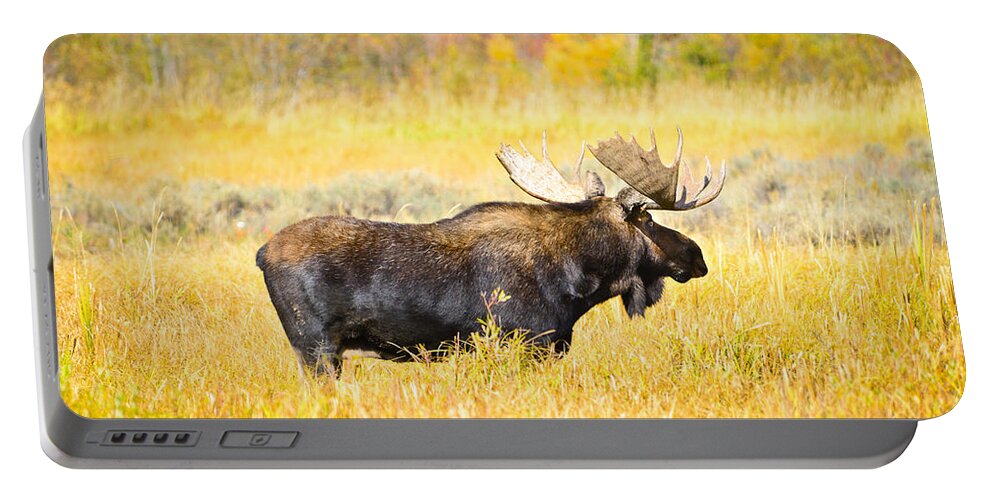 Grand Teton National Park Portable Battery Charger featuring the photograph Bull Moose in Autumn by Greg Norrell
