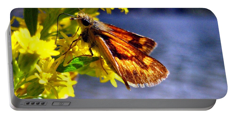 Butterfly Portable Battery Charger featuring the photograph Butterfly Focus by Kathy Bassett