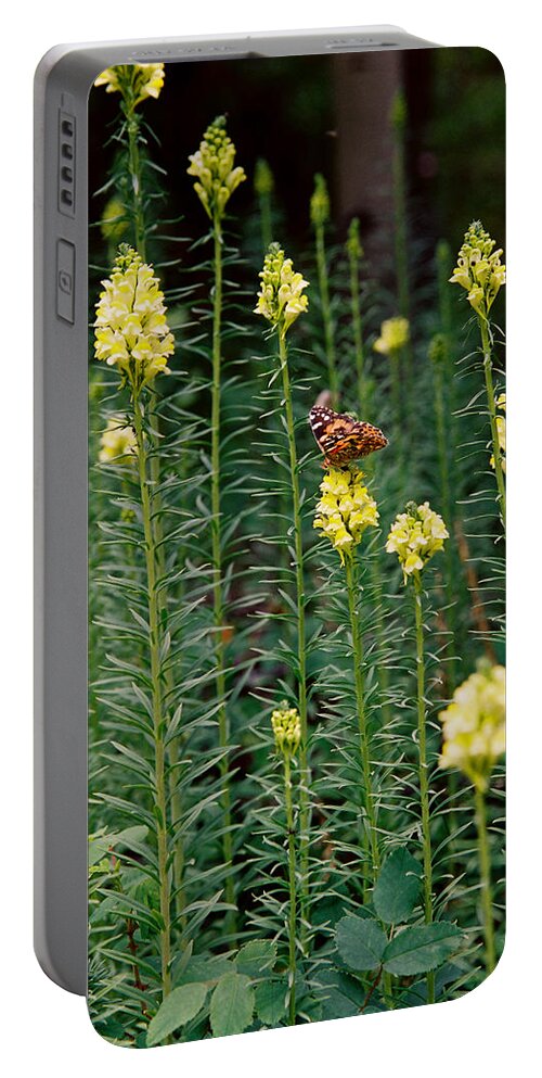 Red River Portable Battery Charger featuring the photograph Butterfly In Yellow Flowers by Ron Weathers