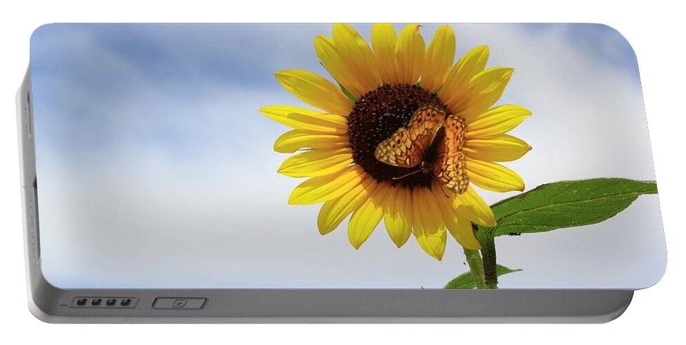 Sunflower Portable Battery Charger featuring the photograph Butterfly on a Sunflower by Shane Bechler