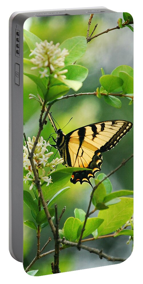Butterflies Portable Battery Charger featuring the photograph Butterfly Tiger Swallow by Peggy Franz