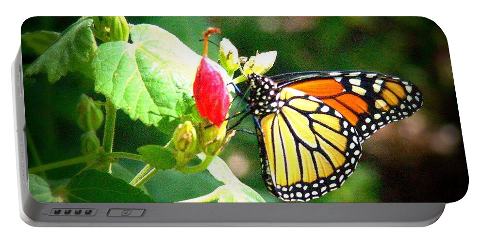 Butterfly Portable Battery Charger featuring the photograph Butterfly Waltz by Megan Ford-Miller