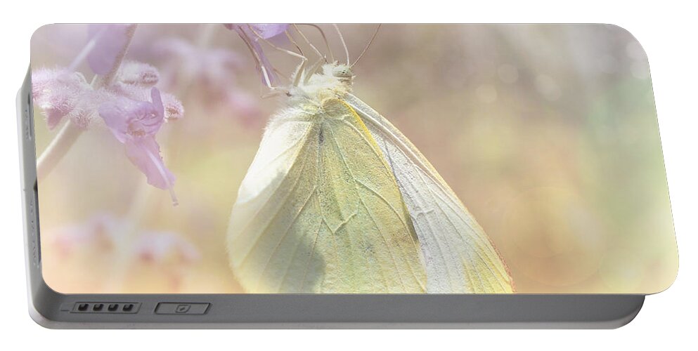 Butterfly Portable Battery Charger featuring the photograph Cabbage White Butterfly by Elaine Manley