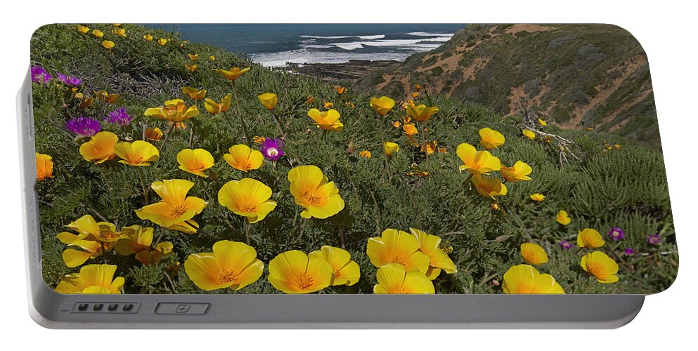 00443043 Portable Battery Charger featuring the photograph California Poppy Field Montano De Oro by Tim Fitzharris