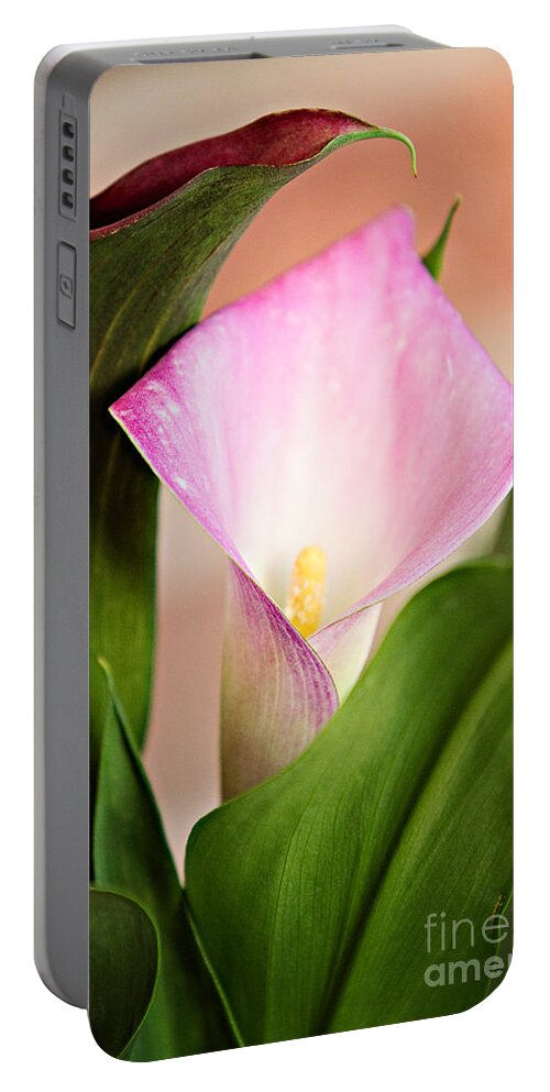 Alismatales Portable Battery Charger featuring the photograph Calla Lily by Lana Trussell