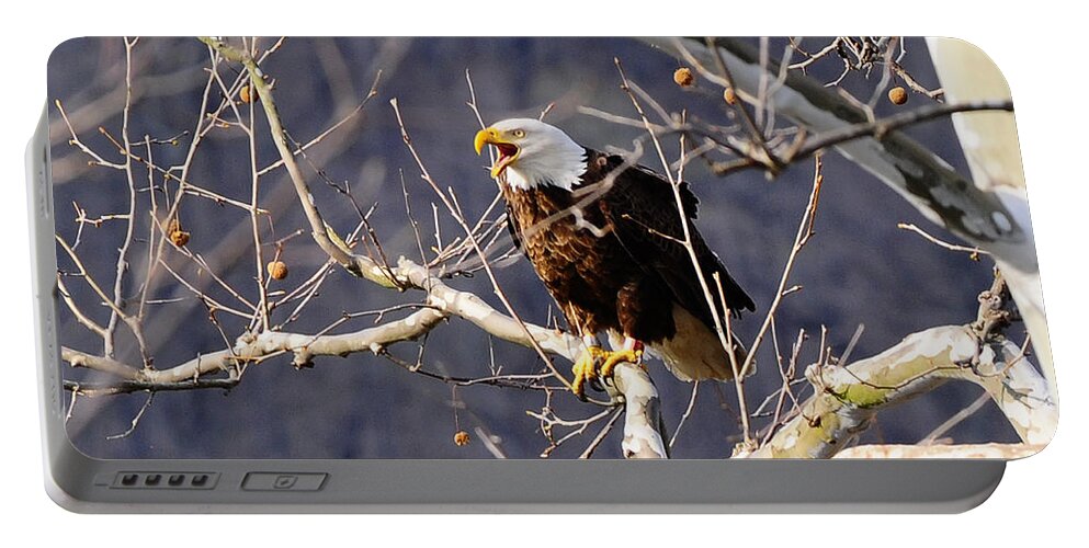Calling Eagle Portable Battery Charger featuring the photograph Calling for his mate by Randall Branham
