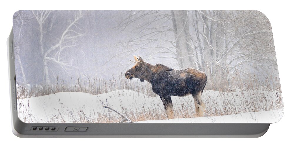 Moose Portable Battery Charger featuring the photograph Canadian Winter by Cheryl Baxter