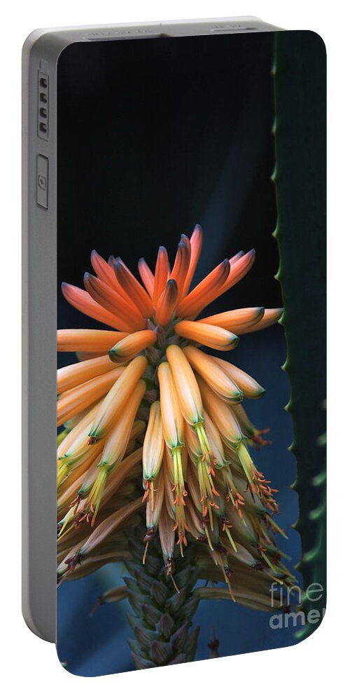 Aloe Portable Battery Charger featuring the photograph Candelabra Aloe by Byron Varvarigos