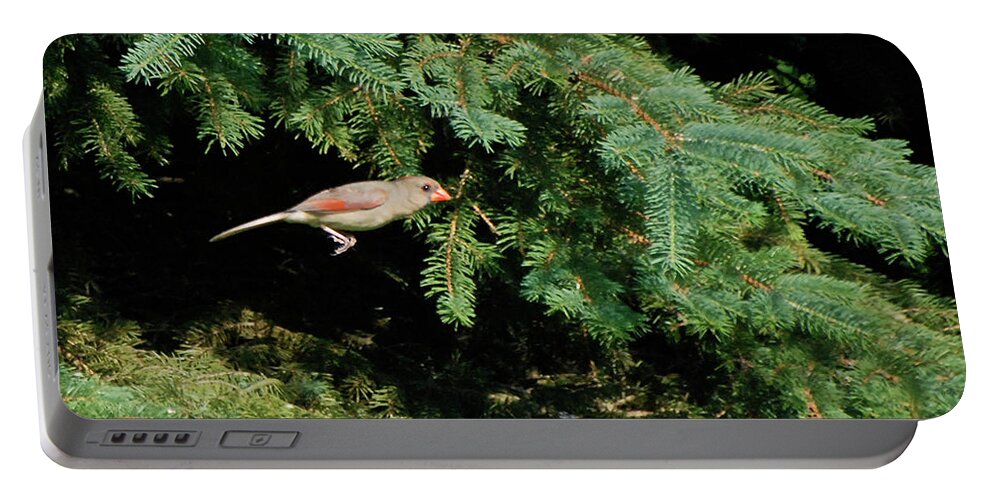 Animals Portable Battery Charger featuring the photograph Cardinal Just A Hop Away by Thomas Woolworth