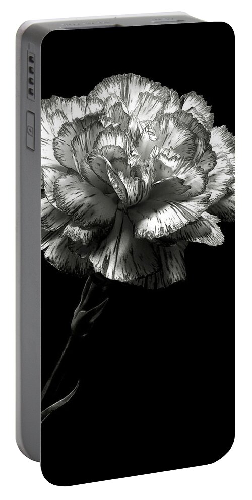Flower Portable Battery Charger featuring the photograph Carnation in Black and White by Endre Balogh