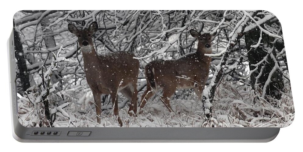 Deer Portable Battery Charger featuring the photograph Caught in the Snow Storm by Elizabeth Winter