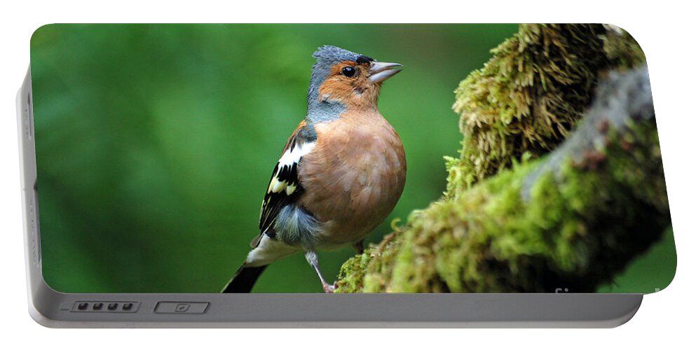 Chaffinch Portable Battery Charger featuring the photograph Chaffinch by Lynn Bolt