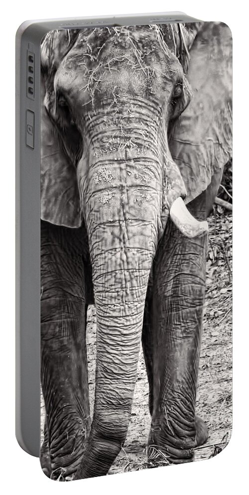Elephant Portable Battery Charger featuring the photograph Charge by Traci Cottingham