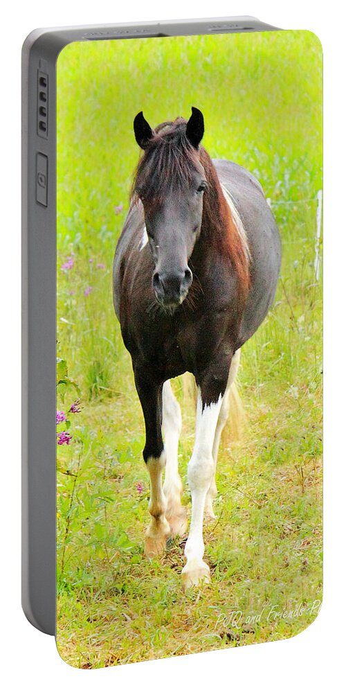  Portable Battery Charger featuring the photograph 'Cheers to Shiraz' by PJQandFriends Photography