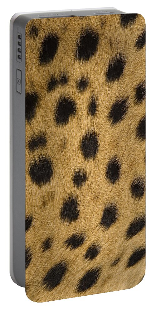 00761664 Portable Battery Charger featuring the photograph Cheetah Spots Namibia by Suzi Eszterhas