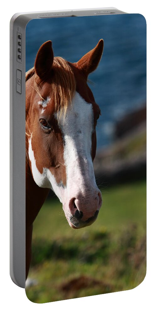 Horse Portable Battery Charger featuring the photograph Chestnut Mare by Aidan Moran