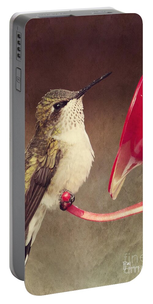 Birds Portable Battery Charger featuring the photograph Chubby Hummer by Pam Holdsworth