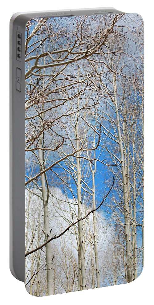 Fine Art Portable Battery Charger featuring the photograph Cloudy Aspen Sky by Donna Greene