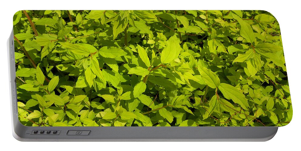 Light Green Portable Battery Charger featuring the photograph Clusters Of Leaves by Kim Galluzzo Wozniak