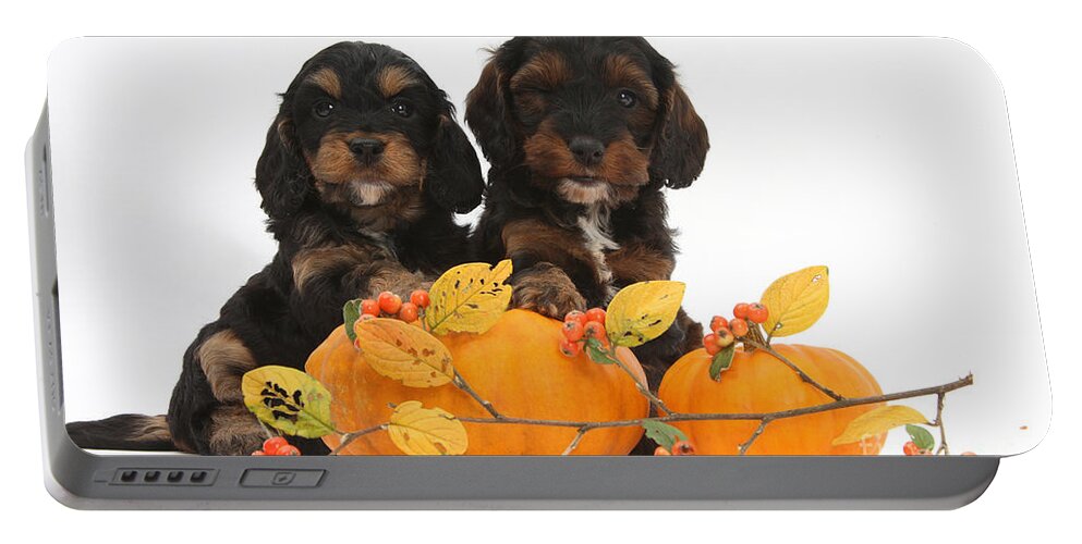 Animal Portable Battery Charger featuring the photograph Cockapoo Puppies With Pumpkins by Mark Taylor