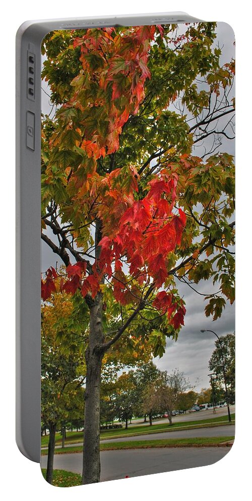  Portable Battery Charger featuring the photograph Cold Autumn Breeze by Michael Frank Jr