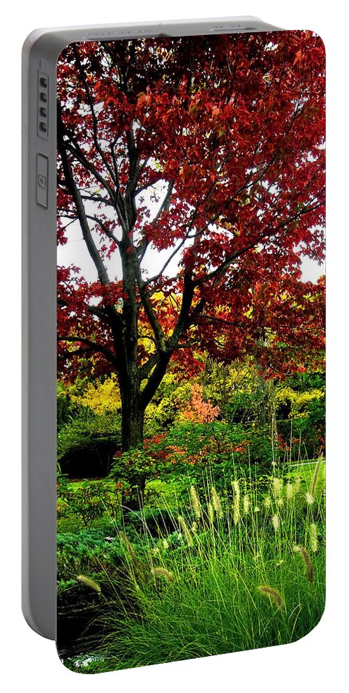 Northamerica Portable Battery Charger featuring the photograph Come Walk with Me ... by Juergen Weiss