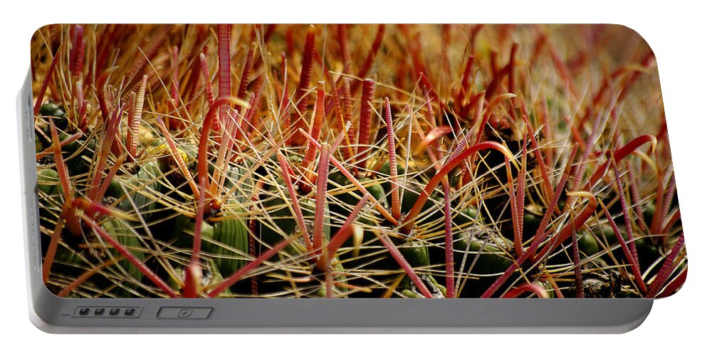 Cactus Portable Battery Charger featuring the photograph Complexity of Nature by Vicki Pelham