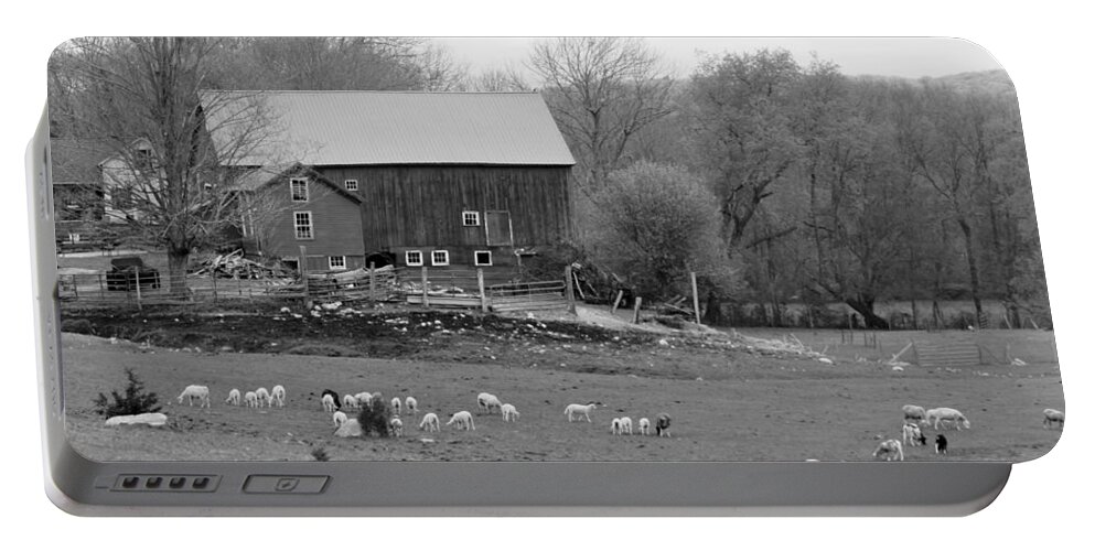 Spring Lambs Portable Battery Charger featuring the photograph Connecticut Sheep Farm by Kim Galluzzo