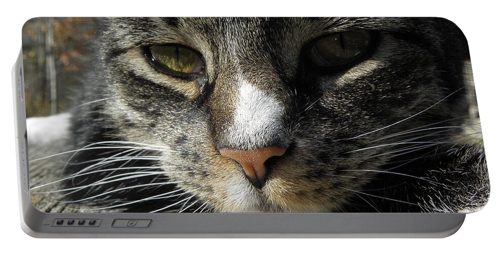 Feline Portable Battery Charger featuring the photograph Content by Kim Galluzzo Wozniak