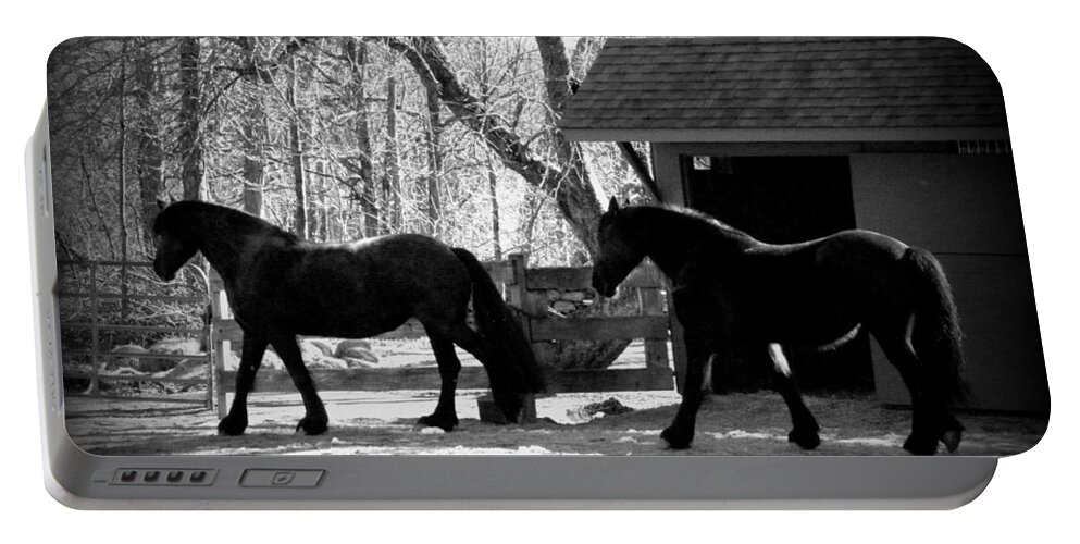 Horse Portable Battery Charger featuring the photograph Cora and Gracie by Kim Galluzzo Wozniak